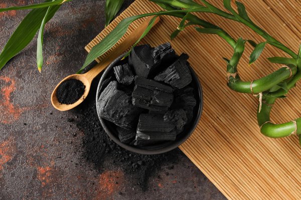 Coconut Shell Charcoal Briquette 1