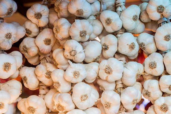 Garlic-2.jpg